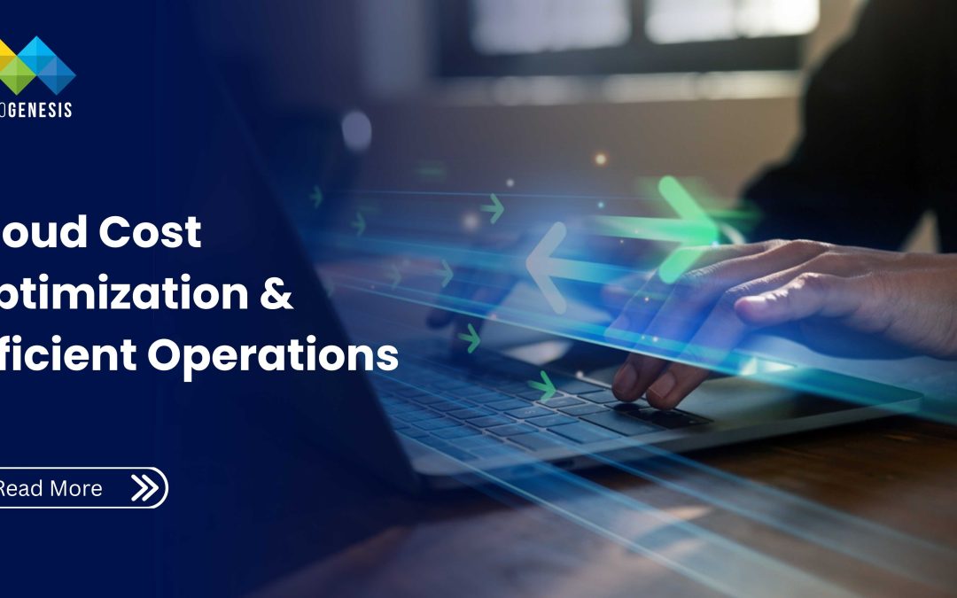 Cloud Cost Optimization & Cloud Operations: Maximizing Efficiency and ROI 