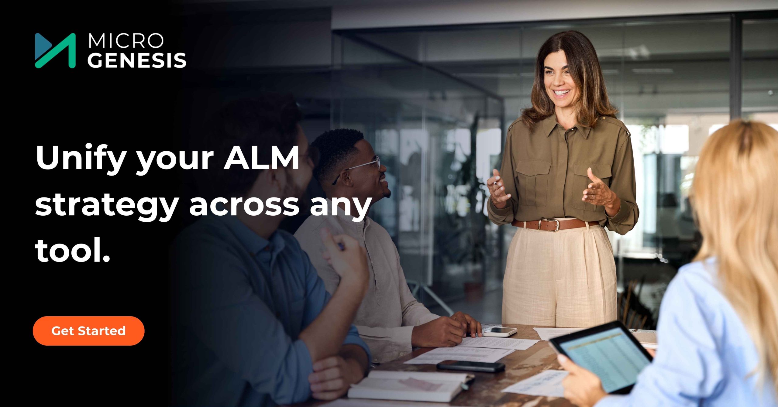 ALM Consulting services